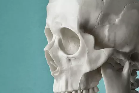 Исследование носа и околоносовых синусов